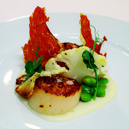 Scallops